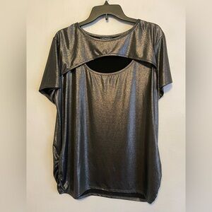 Scarlett Plus Size 2X Black and Silver Dress